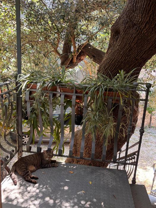 VILLINO TROCCOLI, Appartamento ALICE