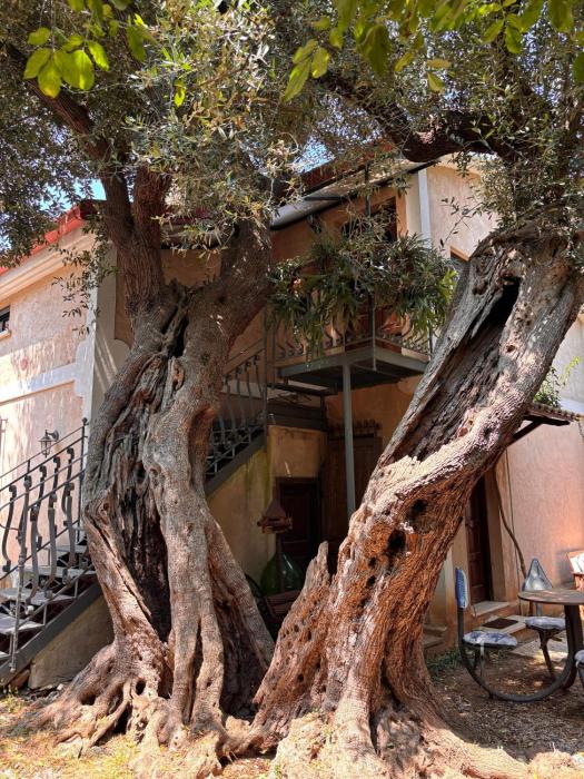 VILLINO TROCCOLI, Appartamento ALICE