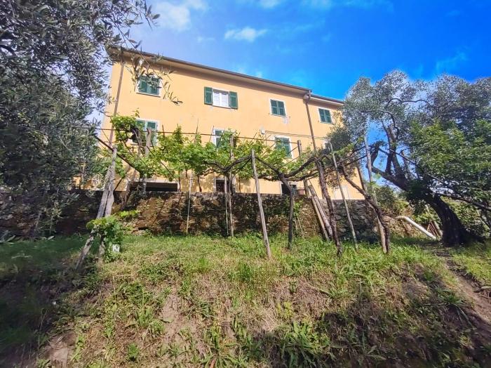 Appartamento dei limoni