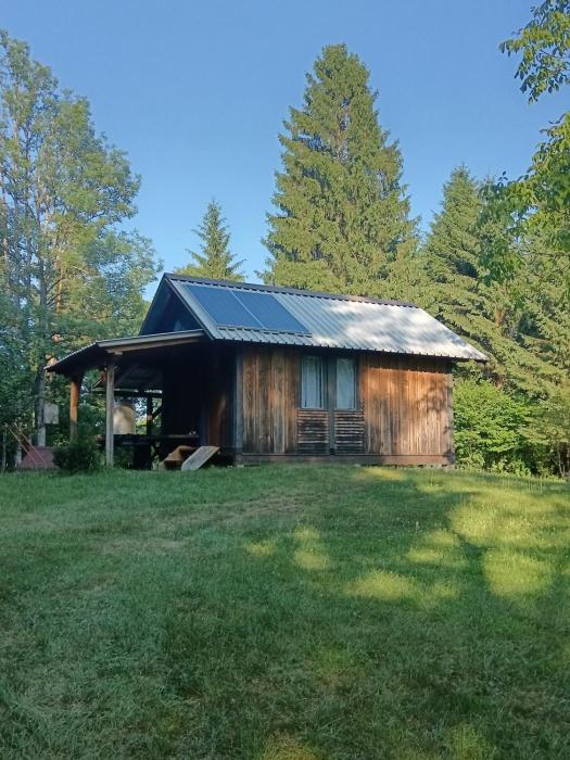 Hidden Cabin near Kočevje