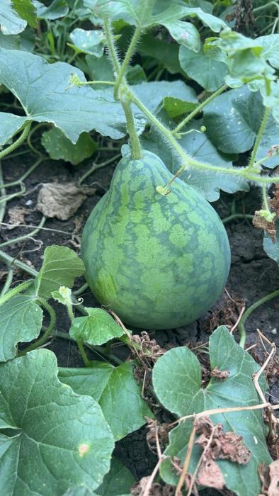 Cozy space in quiet neighborhood