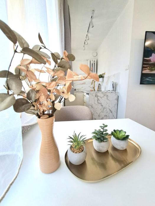 Apartament Dominikanski