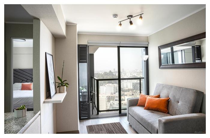 Fantastic New Apartment with Rooftop Pool and Gym in San Isidro