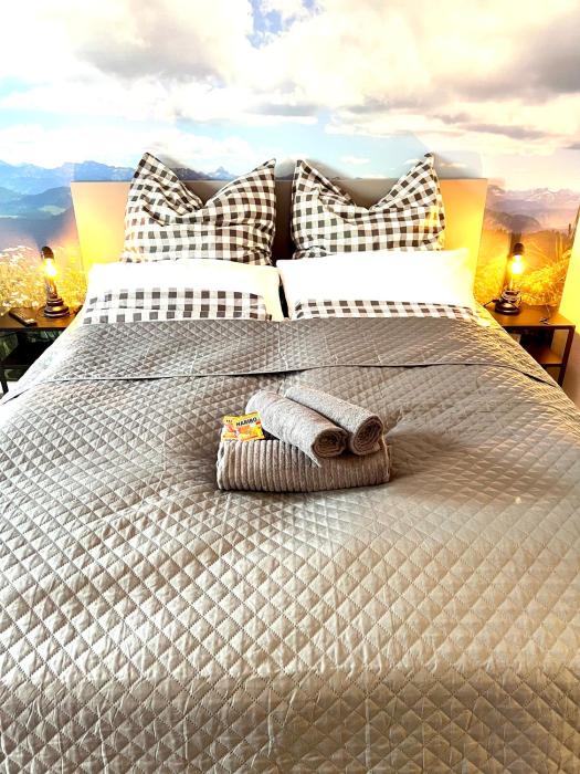 Exklusive FeWo AllgäuStern Steibis mit WLAN Sauna Kamin und Oberstaufen PLUS Card mit SKIPASS