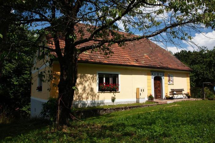 Počitniška hiša pod RAJHOVKO