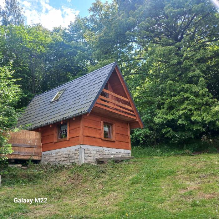 Domek Bacówka Pod Lipą