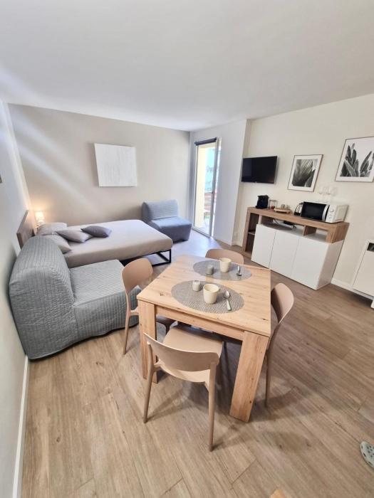 Tonale Ski-in AlpView Studio