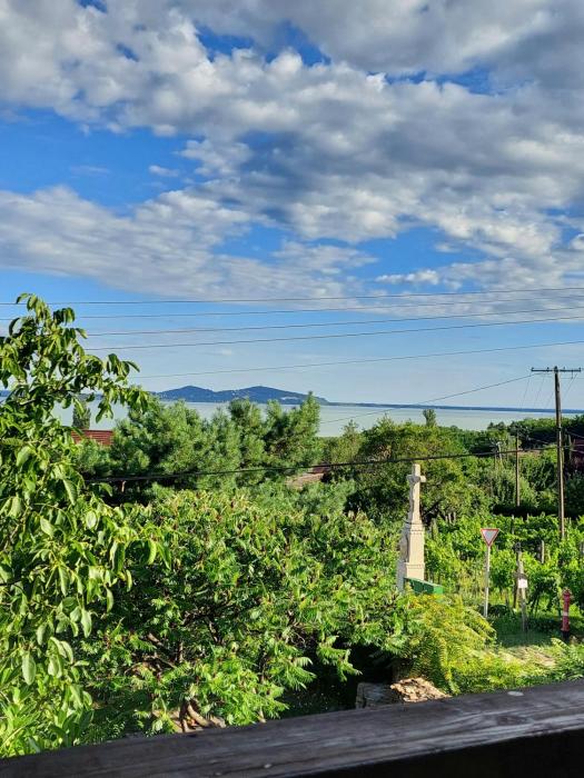 Panoráma Pelsó Apartman