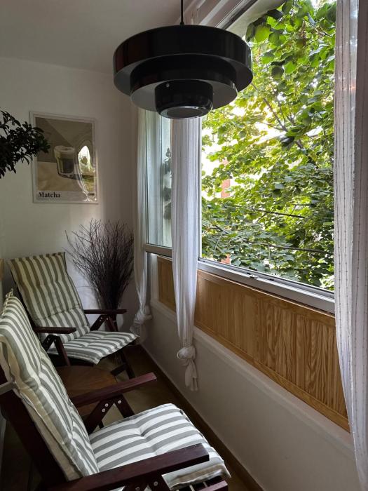 Cactus Apartment Boho Comfort