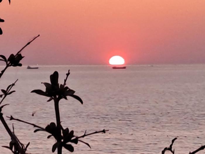 Paradise Rooftop Golem