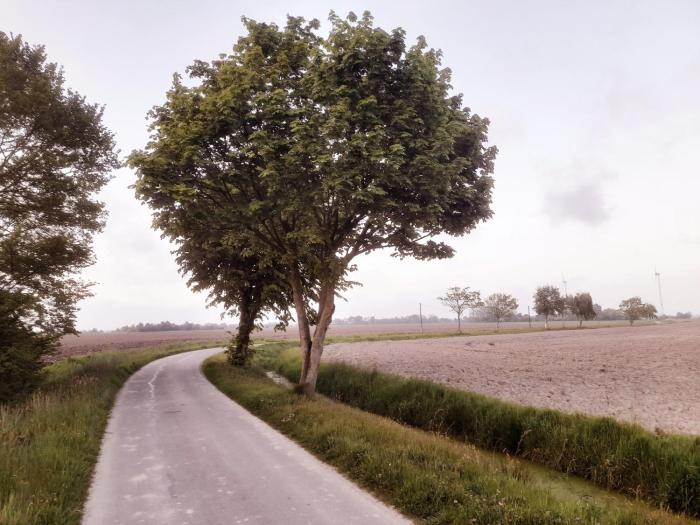 Übernachtung im Bauwagen