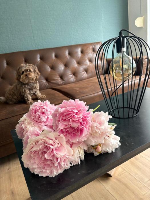 Ferienhaus nähe Stadtpark, renoviert, Businesswohnung, Monteurwohnung, Geschäftsreisendewohnung, Garten, Balkon,Parkplatz