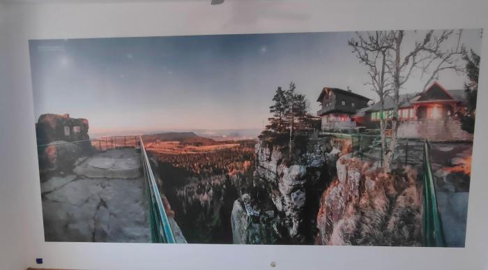 Apartament Wolności