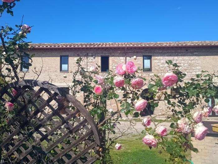 Casale Il Cantico della Tenerezza