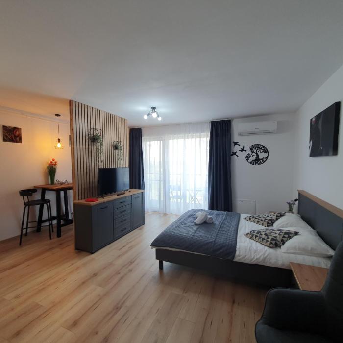 Apartament Relaxa Green 2 Studio AC Parking
