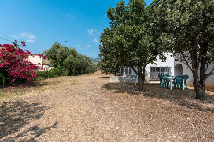 Su Nidu Virde - Ginepro