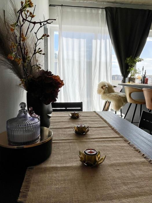 Cozy loft-duplex penthouse