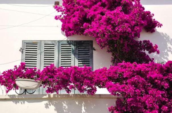 Appartement au cœur de bandol avec parking plage à 1 mn !