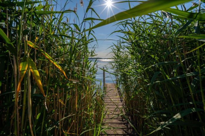 Ferienwohnung Haus am Seeufer Steuerbord
