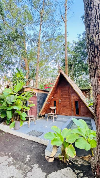 Triangle House and hot spring