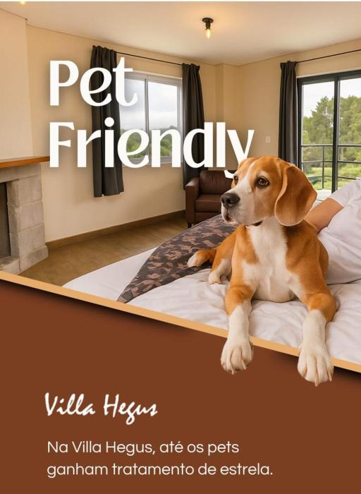 Suites e Chales petfriendly com ar, hidro e lareira
