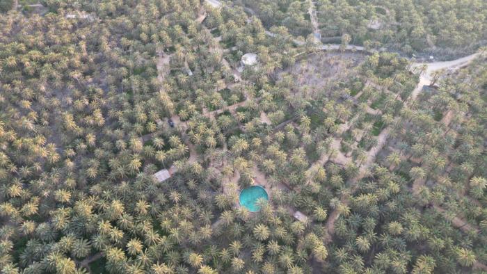 VIP Coco Oasis Villa