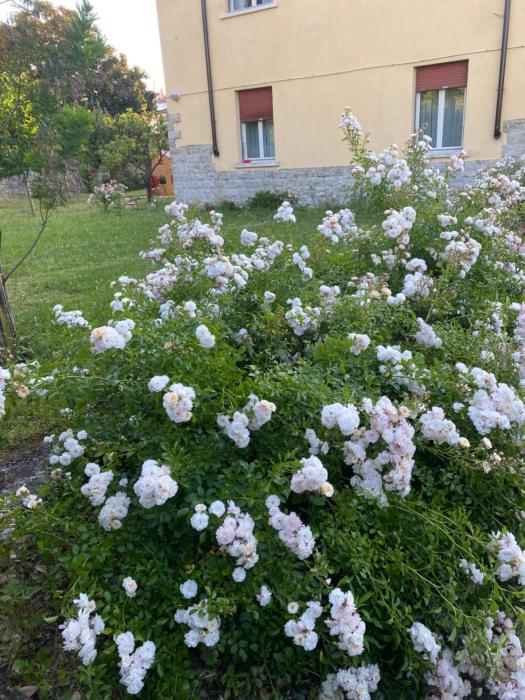 Casa Vacanza Alle Pratoline covered parking for bicycles and motorcycles