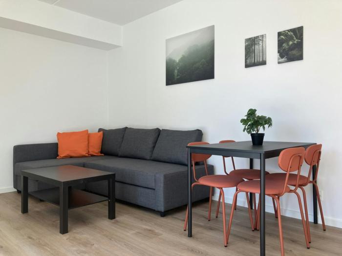 Spacious Apartment for 3