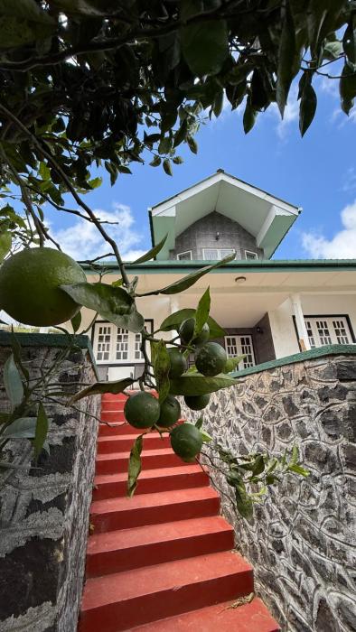 Breezy Loft - Nuwara Eliya