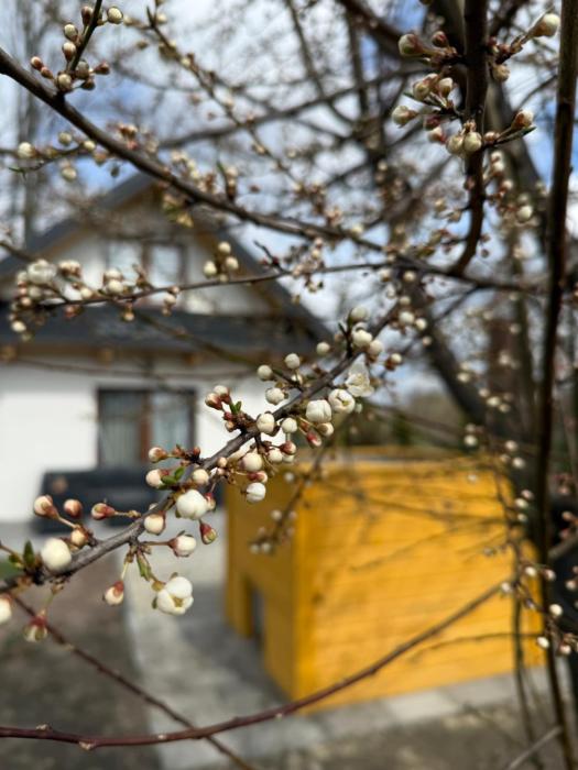 Domek na wsi nocleg roztocze Zamość bania balia