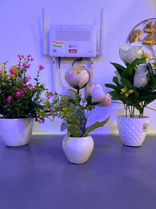 Independent 1 BHK Apartment In New Delhi