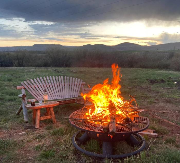 Pet Friendly - Cozy & Modern Cabin - Surrounded by Nature