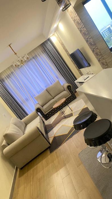 beautifully furnished one bedroom with children playground private parking fully equipped gym swimming pool and scenic city views