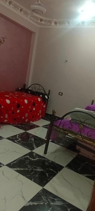 شقه للايجار