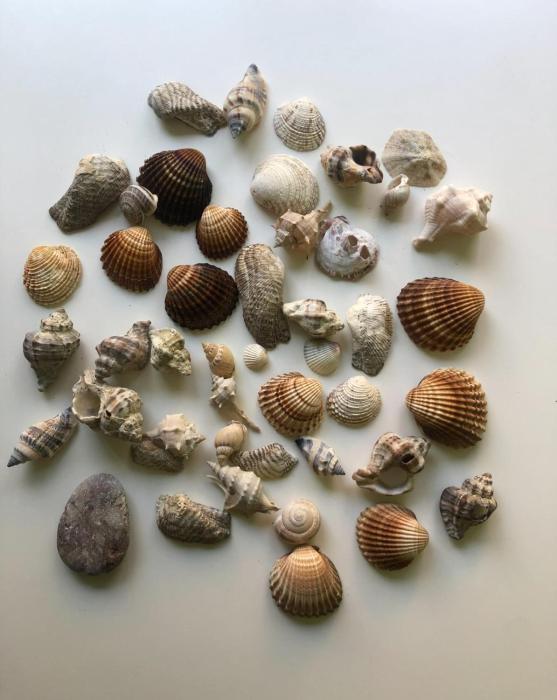 Fresh Apartment Golem