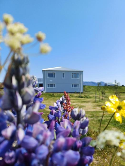 Selið Farm Stay - Guesthouse