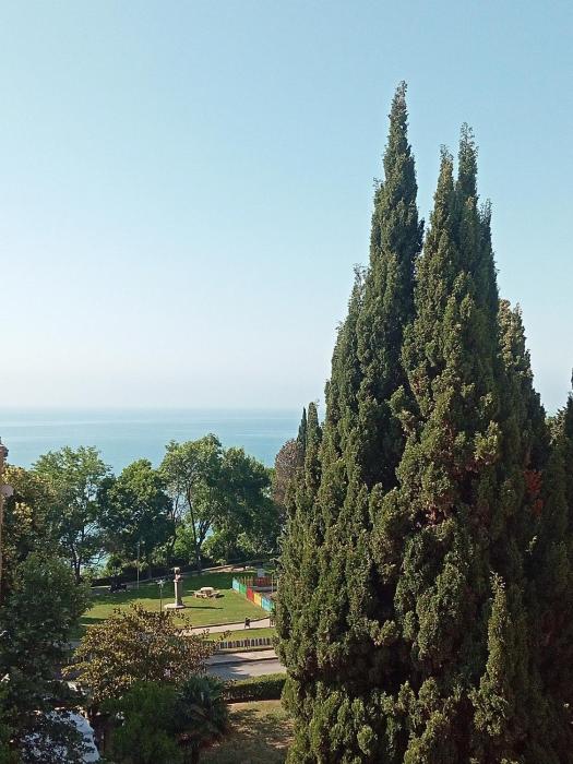 Sea view & Beach Apartment