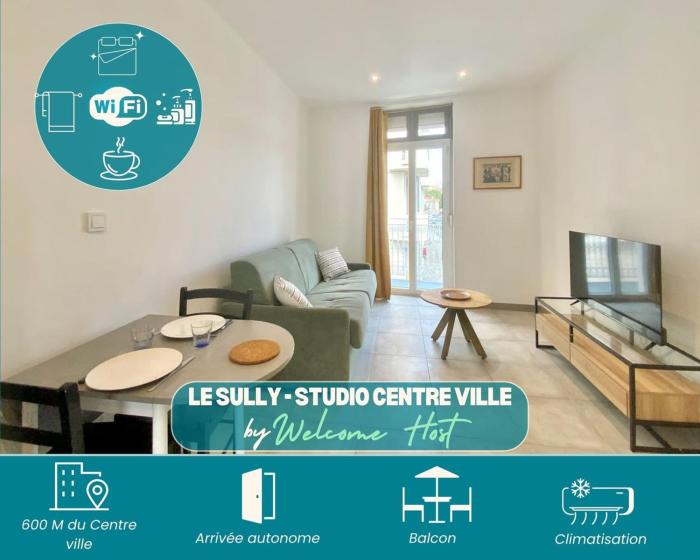 Le Sully, Studio confort en centre & climatisé