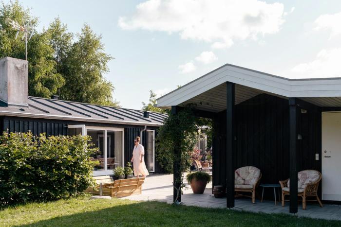 Birdsong In Courtyard And Garden For Kids