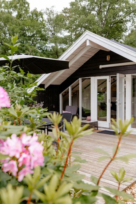 Immerse Yourself In Silkeborgs Wonderful Nature