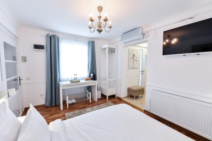 Casa Baritiu - budget