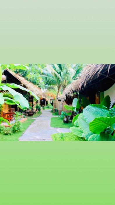 Under The Coconut Tree Hoi An