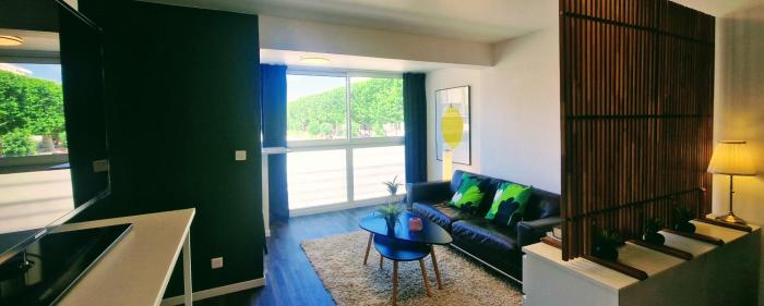 Le Voltaire, Joli Studio, proximité de la Gare et du Centre, Climatisé