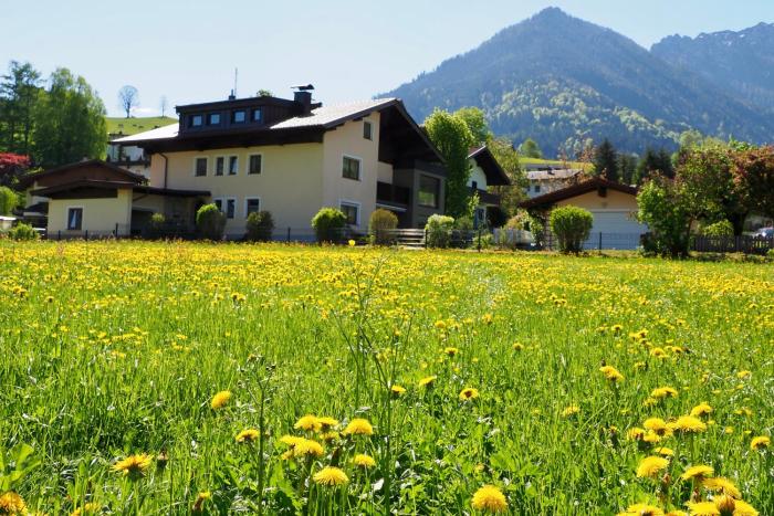 Ferienwohnung Kurz - Brigitte Kurz