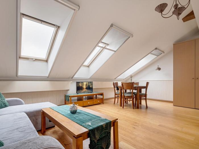 Old Town Traku street apartment