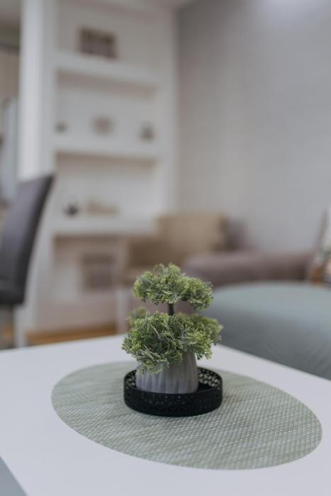 Apartman Vukota Pirot