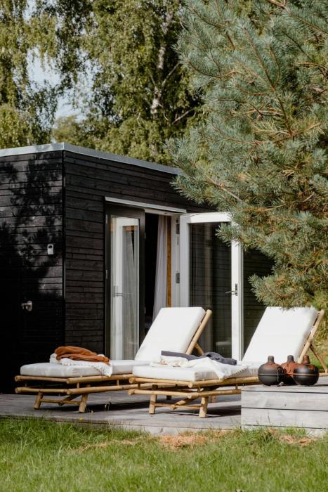 Morning Sun And Starry Sky From Bed