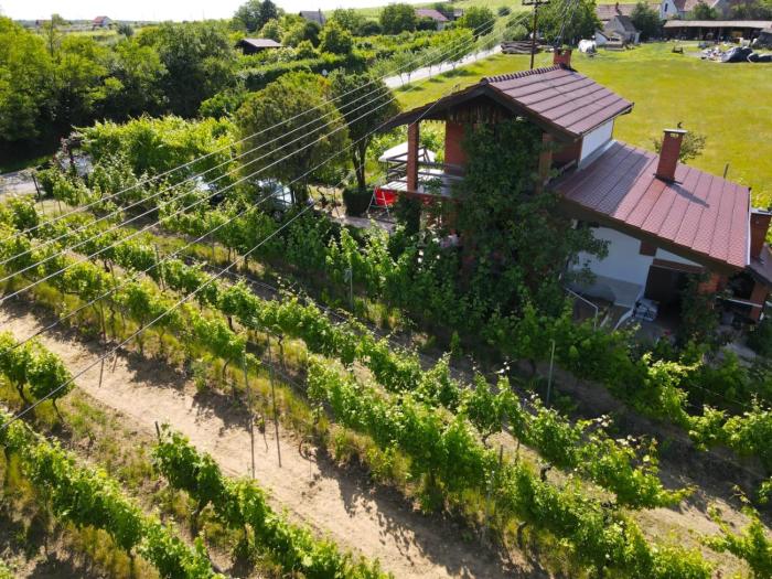 Holiday house with a parking space Mandicevac, Slavonija - 24644