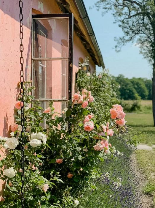 18Th-Century Limestone House In Hablingbo