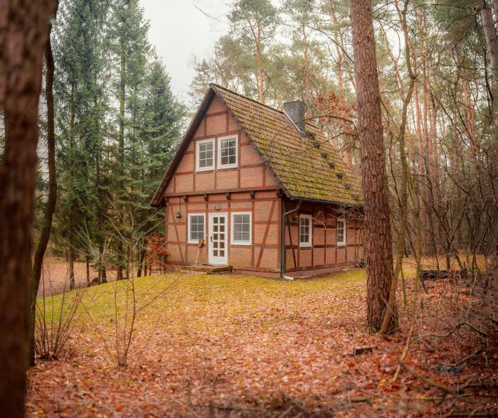 Half-Timbered House In The Middle Of The Forest